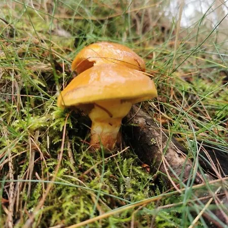 Chillout 4you Lägenhet