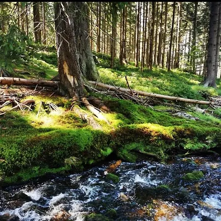 Chillout 4you Lägenhet Świeradów-Zdrój