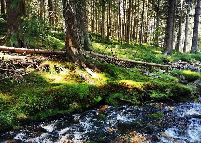 Chillout 4you 아파트 Świeradów-Zdrój